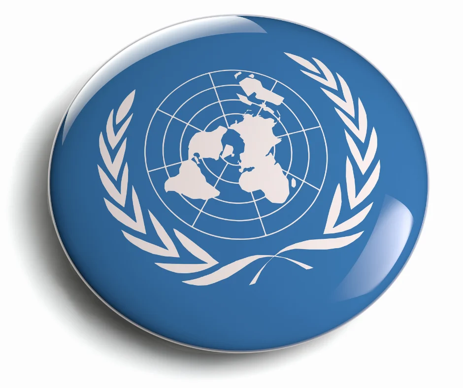 Posizioni di volontariato delle Nazioni Unite